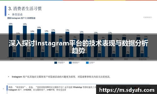深入探讨Instagram平台的技术表现与数据分析趋势