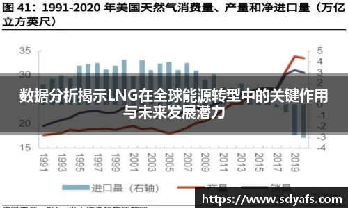数据分析揭示LNG在全球能源转型中的关键作用与未来发展潜力