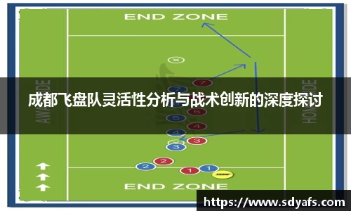 成都飞盘队灵活性分析与战术创新的深度探讨